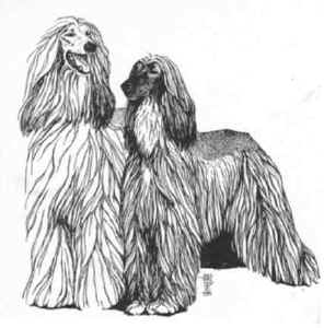 Meccasfallstaff-rosie-vdom.JPG (19798 Byte)