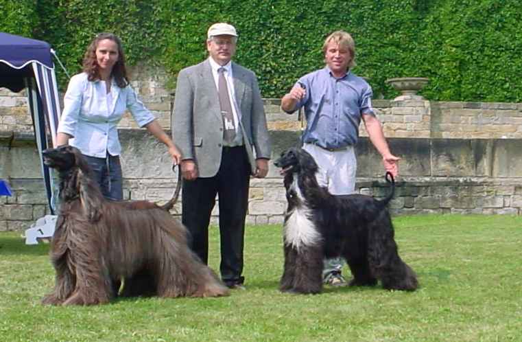 bild by agha djari's kennel, copyright