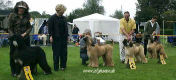 copyright by afghanen.de