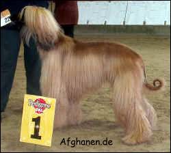 Copyright by afghanen.de
