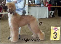 Copyright by afghanen.de