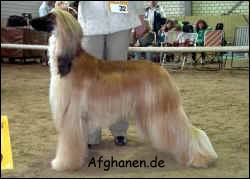 Copyright by afghanen.de