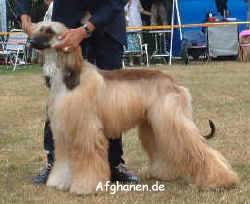 agha-djaris-imitation-of-live.JPG (57557 Byte)