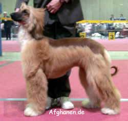 huend-jk-1.JPG (1538693 Byte)