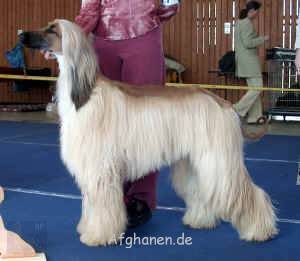 el-corrados-ilias.JPG (830787 Byte)