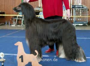 gk-rued-1.JPG (764235 Byte)
