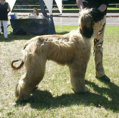 Scherkahns Tanyalou