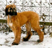 Bild-01.JPG (23956 Byte)