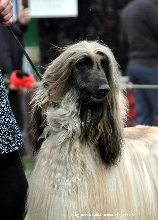 30-5.JPG - Consequence of Love a Touch of Freedom