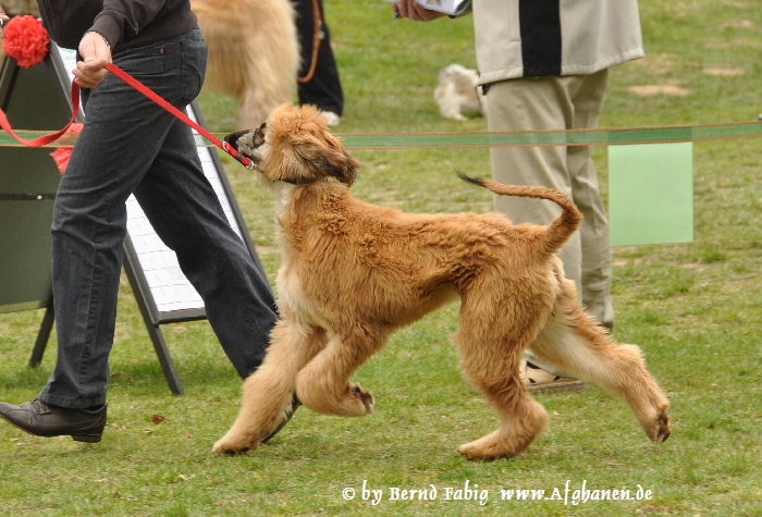 p-1.JPG - Püppy Klasse