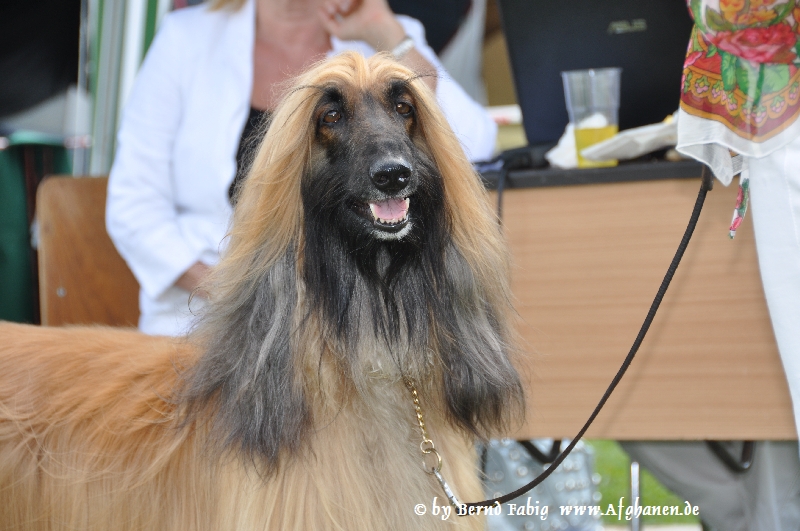 DSC_5924.JPG - Khemi nur von Katwiga