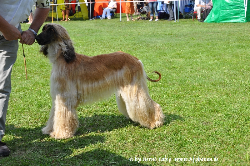 DSC_6015.JPG - Hennes Y-Shirvan