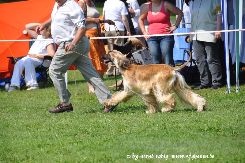 DSC_6019.JPG - Hennes Y-Shirvan