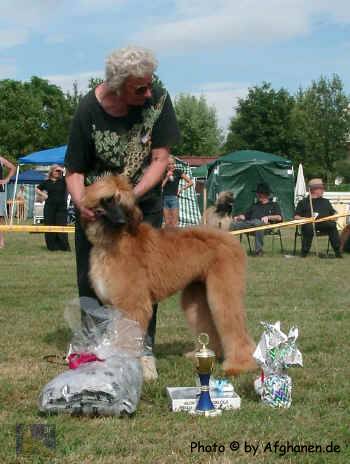 puppy-bis-jas.JPG (178786 Byte)