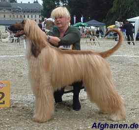 copyright by afghanen.de