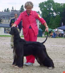 Bild Archiv Afghanen.de