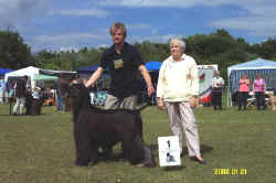cac16-6.JPG (62734 Byte)