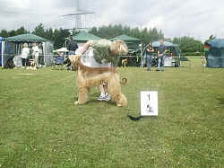 huen-jugend-1.jpg (143937 Byte)