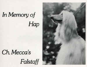 falstaffahr6-klein.jpg (50962 Byte)