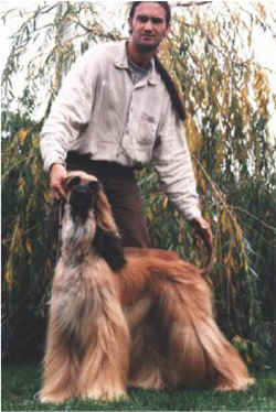 cigourney.jpg (50848 Byte)