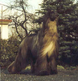 wendy.jpg (134334 Byte)