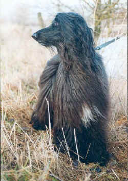 mara-lina.jpg (66886 Byte)