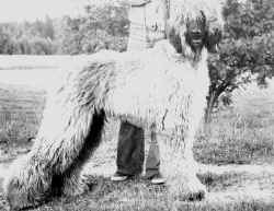 1odin.jpg (26759 Byte)
