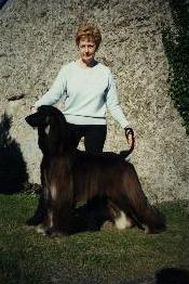Click here to view pedigrees
