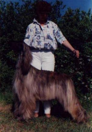 Click here to view pedigrees