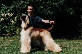 Click here to view pedigrees