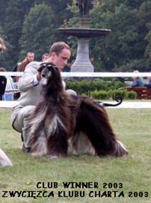 TORA - Zwycięzca Klubu 2003